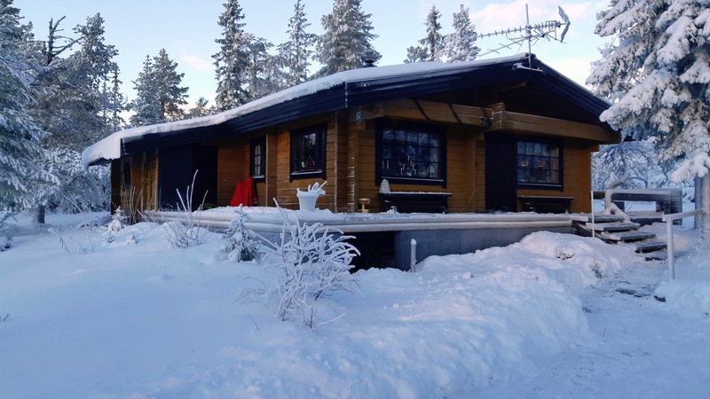 En bild på stuga G49, Renvägen 21